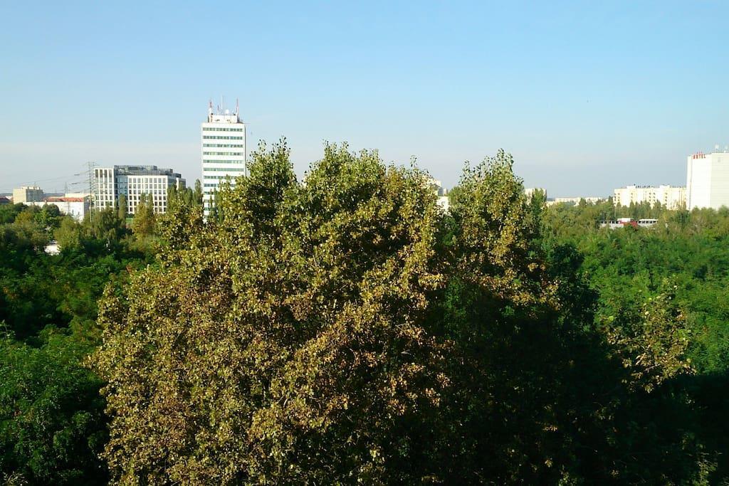 Apartament 1 Bedroom Francuska Park Katowice
